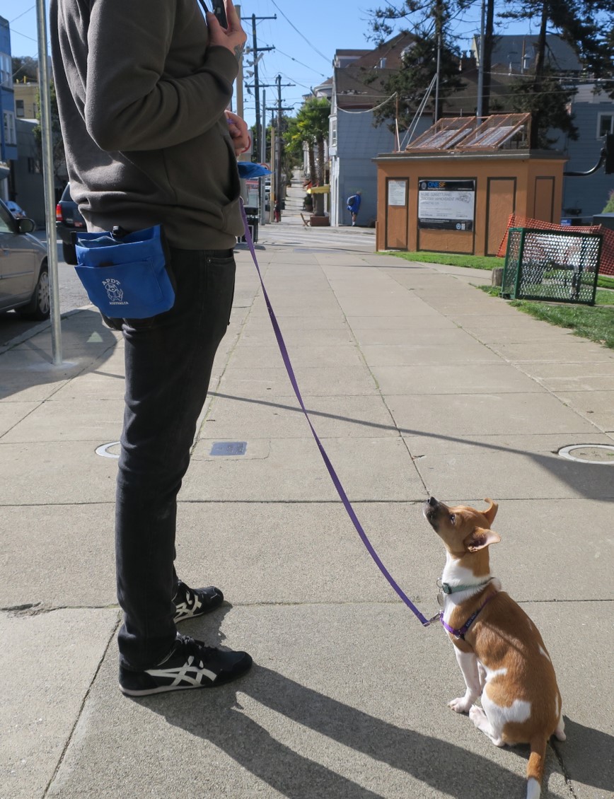 Troubleshooting Day Training