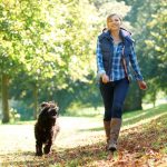 Woman and a dog walking through a park with trees.