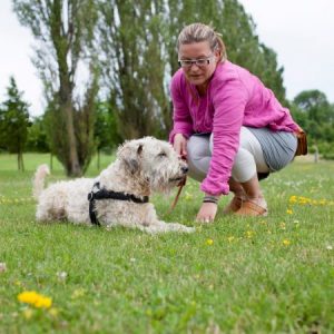 Woman training her dog at the park
