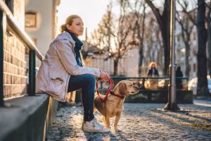 Woman sitting on a bench thinking and holding a dog on leash.