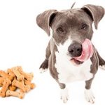 Dog licking his lips while sitting next to a pile of dog cookies.