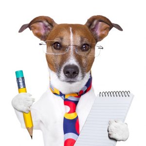 Jack Russell terrier dog with pencil and notepad