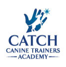 CATCH logo