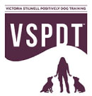 VSPDT logo