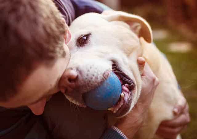 Photo of dog with ball in mouth