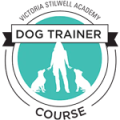 DTC-logo-300px