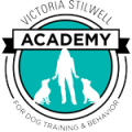 VSA_Logo