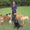 Photo of woman standing in the middle of a field with 7 dogs on leash