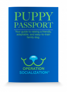 Picture of the Puppy Passport