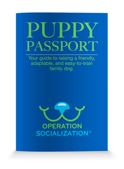 Picture of the Puppy Passport