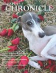 APDT Chronicle Magazine cover